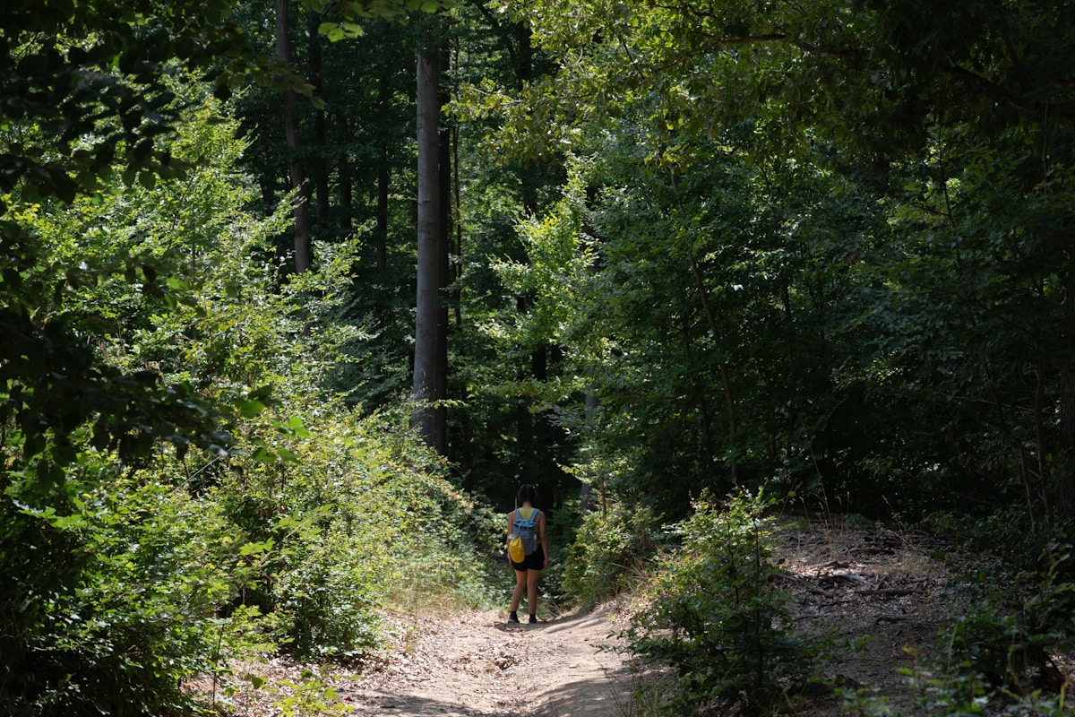 GPS surveying equipment mapping mountain bike trails