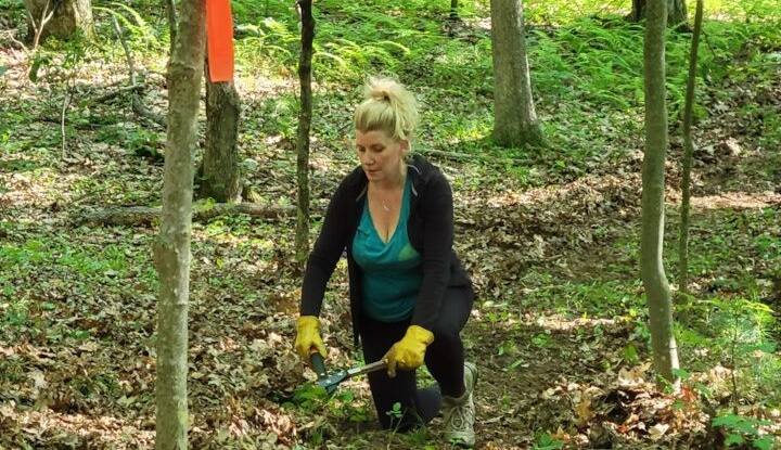 for design and building