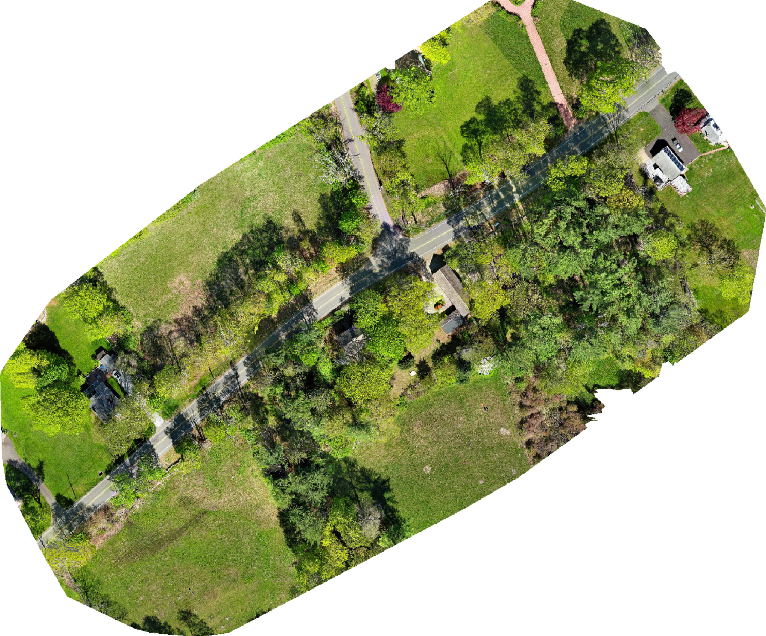 orthomosaic created from drone photogrammetry